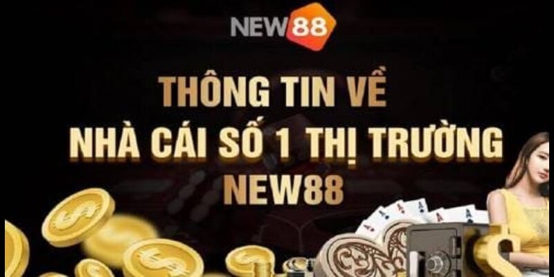 Tổng quan về điều khoản điều kiện tại nhà cái New88