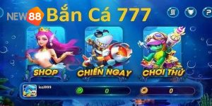 Giới thiệu trò chơi bắn cá xu vàng 777