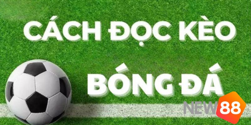 Cách đọc kèo bóng đá theo từng loại kèo bóng