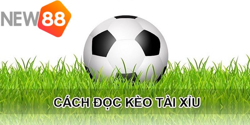 Cách đọc kèo bóng đá loại tài xỉu