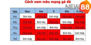 Màu mạng gà đá theo ngày sẽ là thông tin được chia sẻ cho anh em