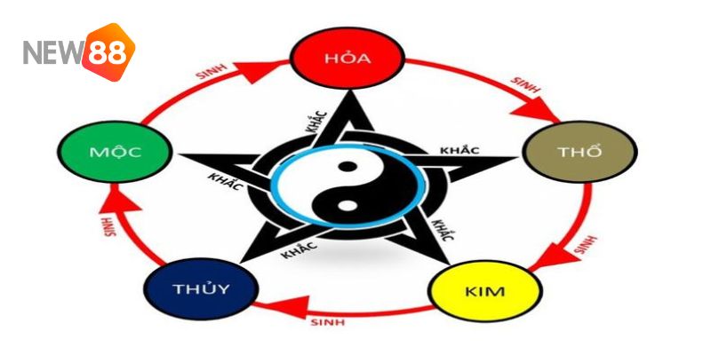 Tổng hợp những câu hỏi về màu mạng gà đá theo ngày bạn cần biết